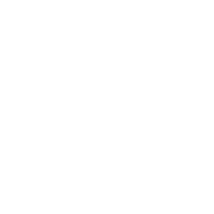 easylohn_home_Portrait-form2